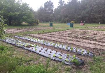 On se raconte des salades !