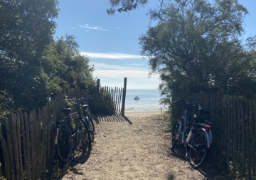 Noirmoutier sous le signe de la pêche à pied