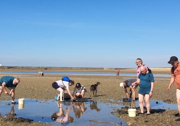 Noirmoutier sous le signe de la pêche à pied